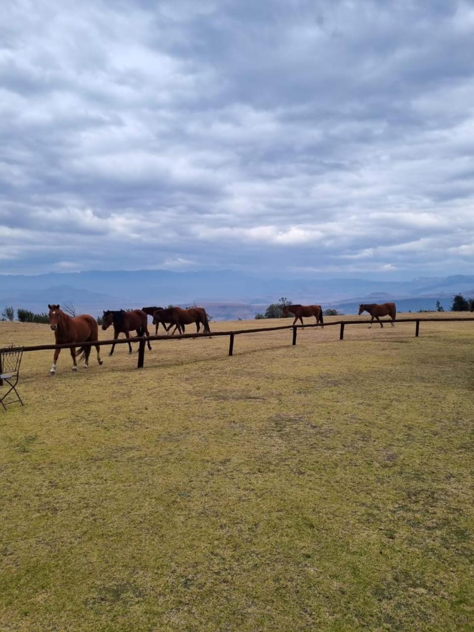 Drakensberg Mountain Retreat ξενώνας Bergville Εξωτερικό φωτογραφία